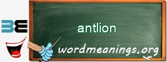 WordMeaning blackboard for antlion